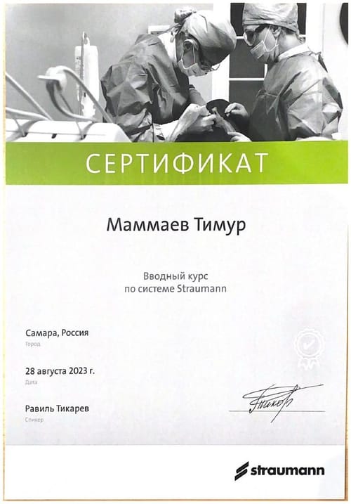 Маммаев Т. А. — Вводный курс по системе Straumann, 2023