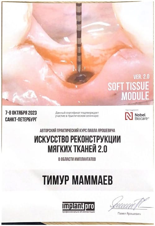 Маммаев Т. А. — Искусство реконструкции мягких тканей 2.0, П. Ярошевич, 2023