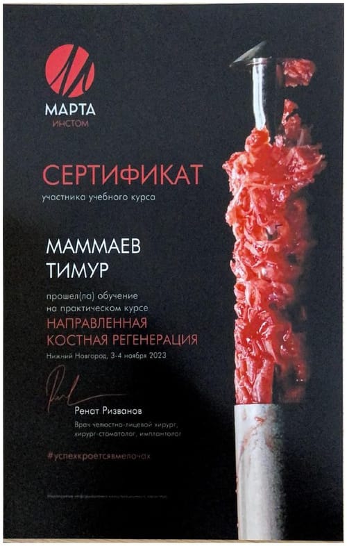 Маммаев Т. А. — Направленная костная регенерация, Р. Ризванов, 2023